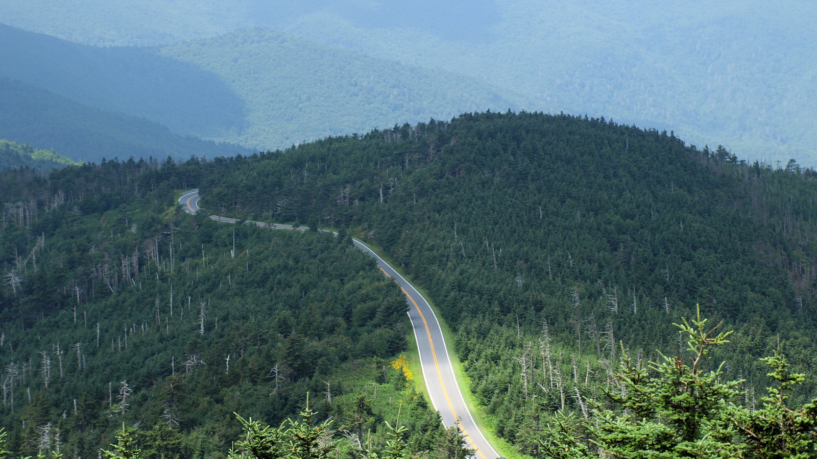 A ribbon of highway cut through green mountains looks like the Blue Ridge Parkway